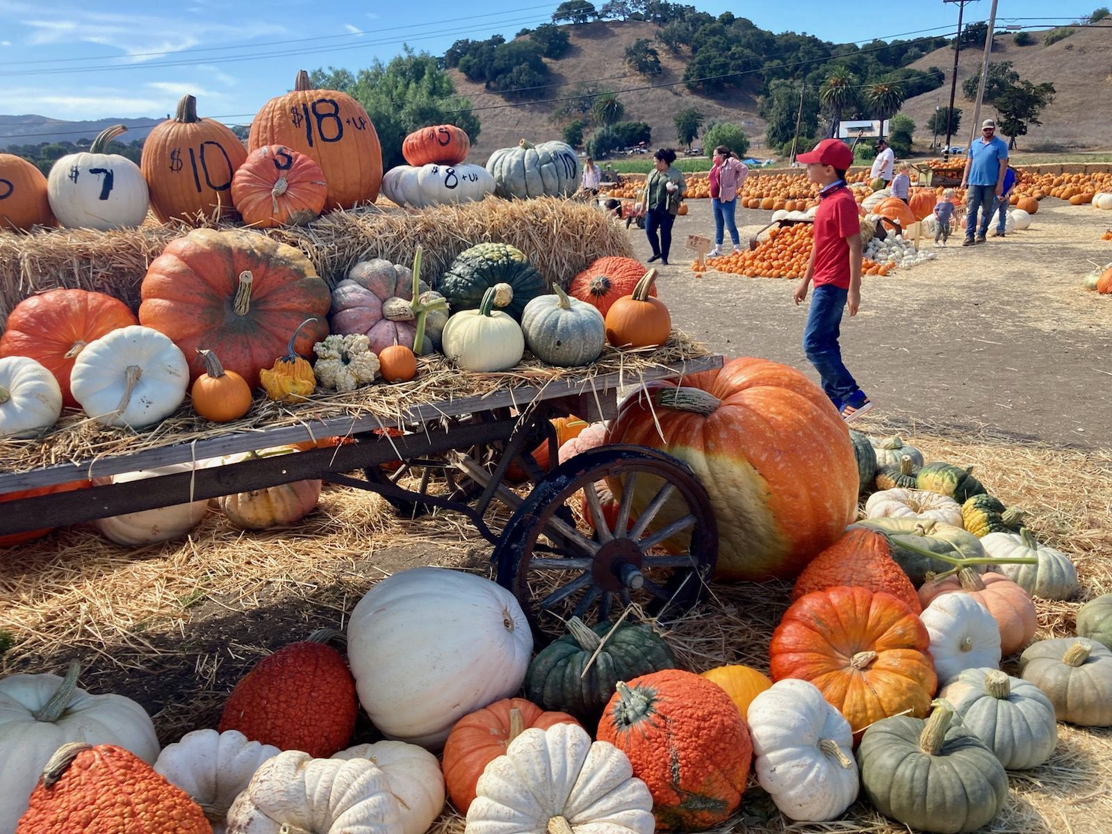 101421 Solvang Pumpkin 8.jpg